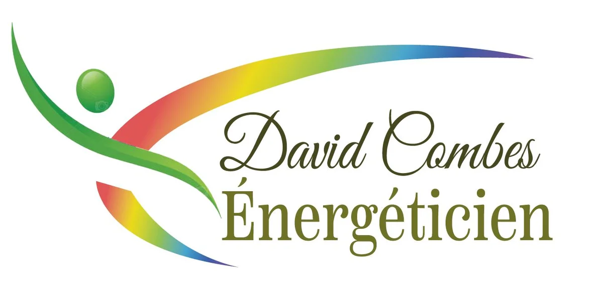 DAVID énergéticien - Énergéticien à Albi