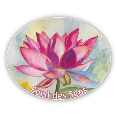 Sandra Alvarez - Naturopathe à Terrasson Lavilledieu